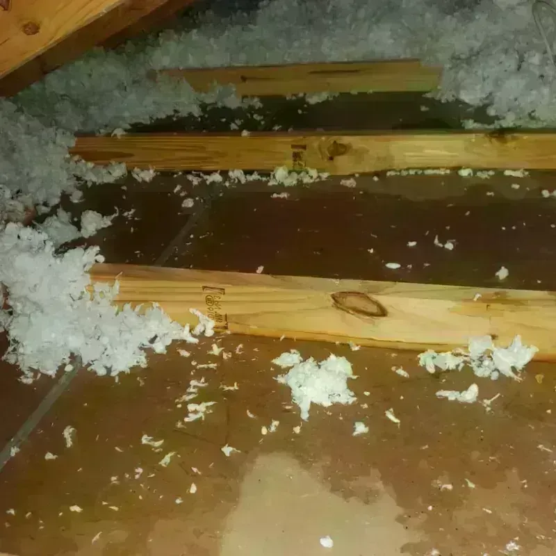 Attic Water Damage in Mason County, WV